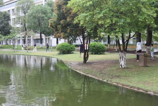 湖畔绿树环绕的休闲场景