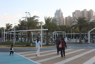 城市公园中的休闲场景