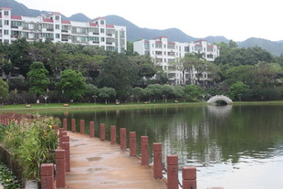 湖畔步道旁的居民住宅区