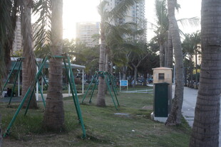 城市公园中的健身休闲场景