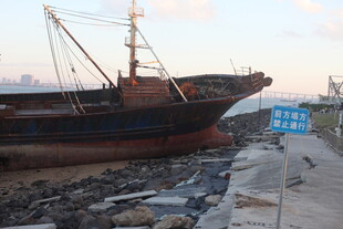 岸边停泊的老旧渔船