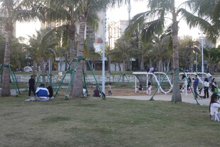 户外公园休闲游乐场景