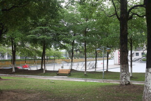 公园绿树环绕的静谧景致