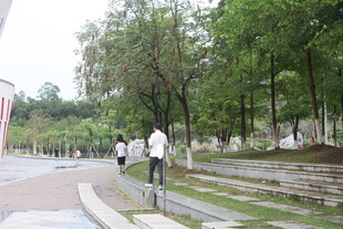 校园中漫步的学生身影