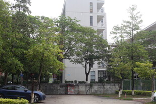 绿树环绕的现代建筑