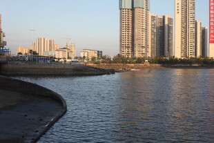 城市河畔高楼景观