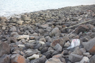 海边碎石滩景象