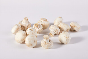 散落的新鲜白蘑菇