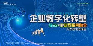 会议背景