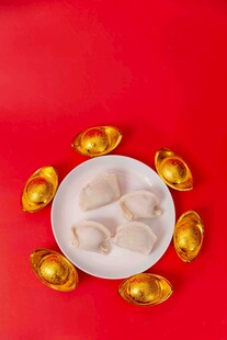 金元宝环绕的美味饺子