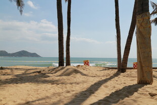 沙滩椰树旁的海景风光