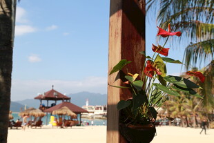 热带海滩风光与休闲设施