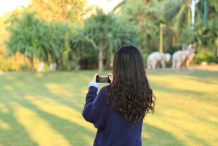 女子户外手持手机拍照