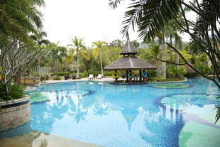 热带风情泳池景观