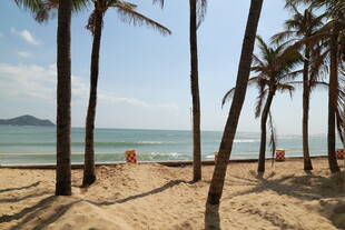 热带海滩椰林海景风光