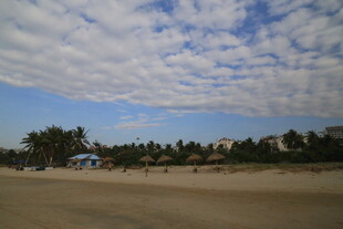 沙滩蓝天绿树风景图