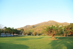 翠绿草坪与远山风光