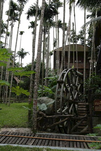 田园水车旁的自然景致