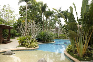 热带风情庭院泳池景观