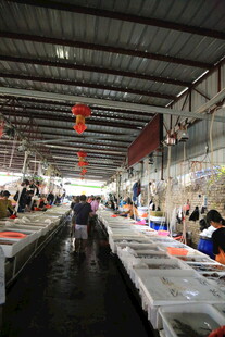 热闹的室内集市场景