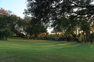 阳光照耀下的静谧高尔夫球场