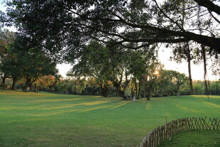 静谧高尔夫球场绿意风光