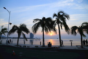 海边日落时的椰树美景