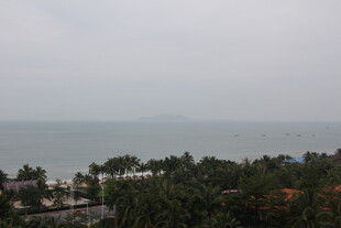 俯瞰海景与岸边葱郁树木