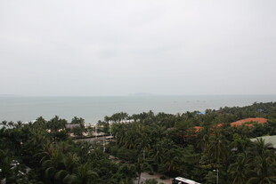 海边椰林景观俯瞰