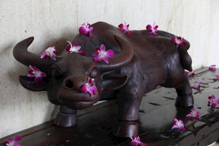 牛雕塑上散落粉色花瓣