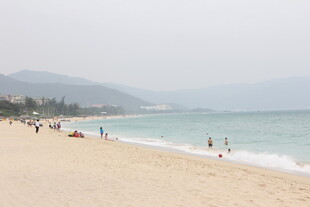 热闹的海滨沙滩场景