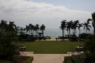 海滨棕榈园景观