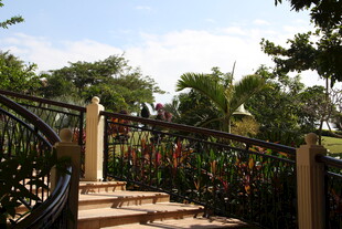 户外铁艺围栏与绿植景观