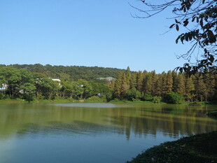 宁静湖畔自然风光