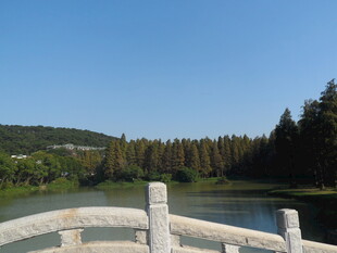 湖畔石桥边的自然景致