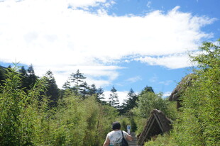 徒步山林中的两个人