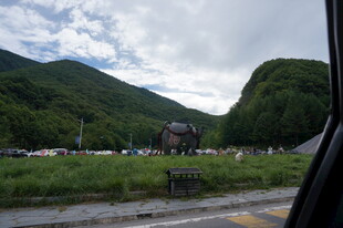 车窗外的山野风光