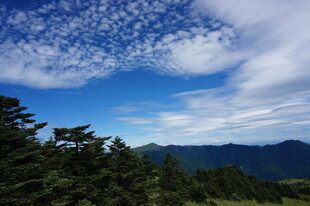 蓝天白云下的山林美景
