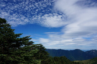 山间蓝天绿树美景