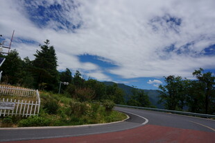 蜿蜒公路旁的山林景致