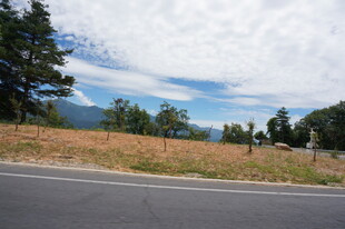 公路旁的开阔自然风景