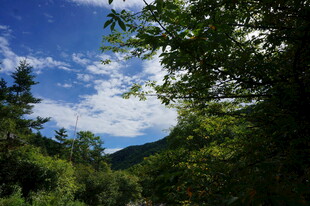 山林间的蓝天绿树美景