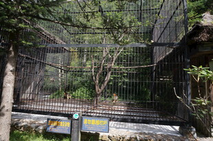 动物园中的动物笼舍景观