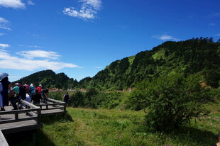 山间栈道上的游客风景