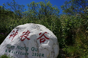 神农谷石碑景观