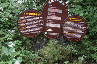 景区介绍标识牌