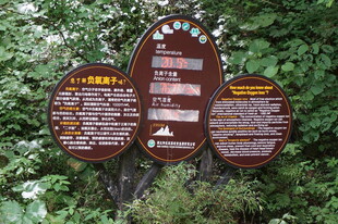 景区指示牌展示多样信息