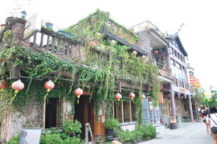 古巷绿植缠绕的特色街道