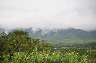 云雾缭绕的山间绿野风光