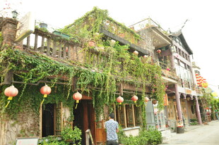 古巷绿植环绕的中式建筑